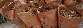 bagged leaves at curbside awaiting pickup